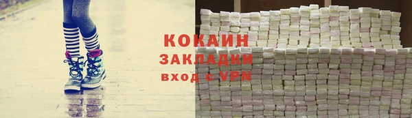 твердый Алексин