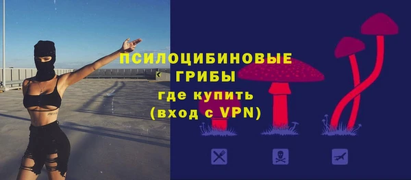 твердый Алексин