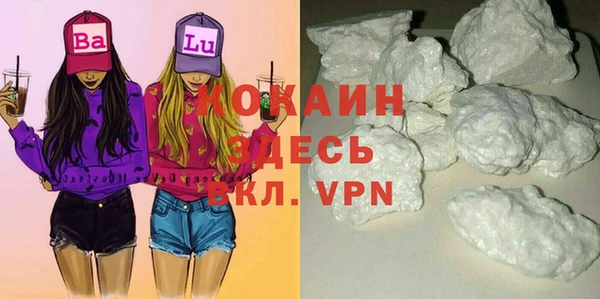 твердый Алексин