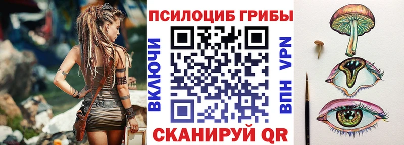 Псилоцибиновые грибы Psilocybe  Кукмор 